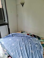 Blk 588C Park Central @ Amk (Ang Mo Kio), HDB 5 Rooms #510643801